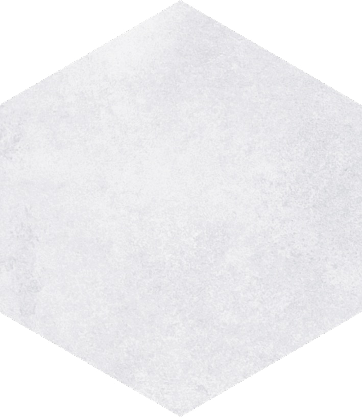 Bonita 5x6 White Hexagon Porcelain Tile