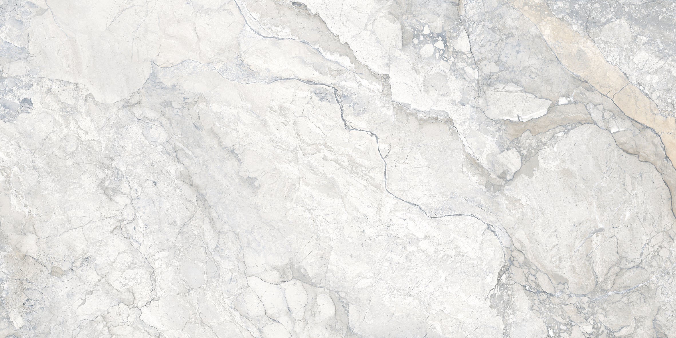 Eternal 24x48 White Matte Porcelain Tile - SAMPLE
