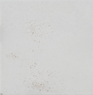 Surf 4x4 White Gloss Porcelain Tile