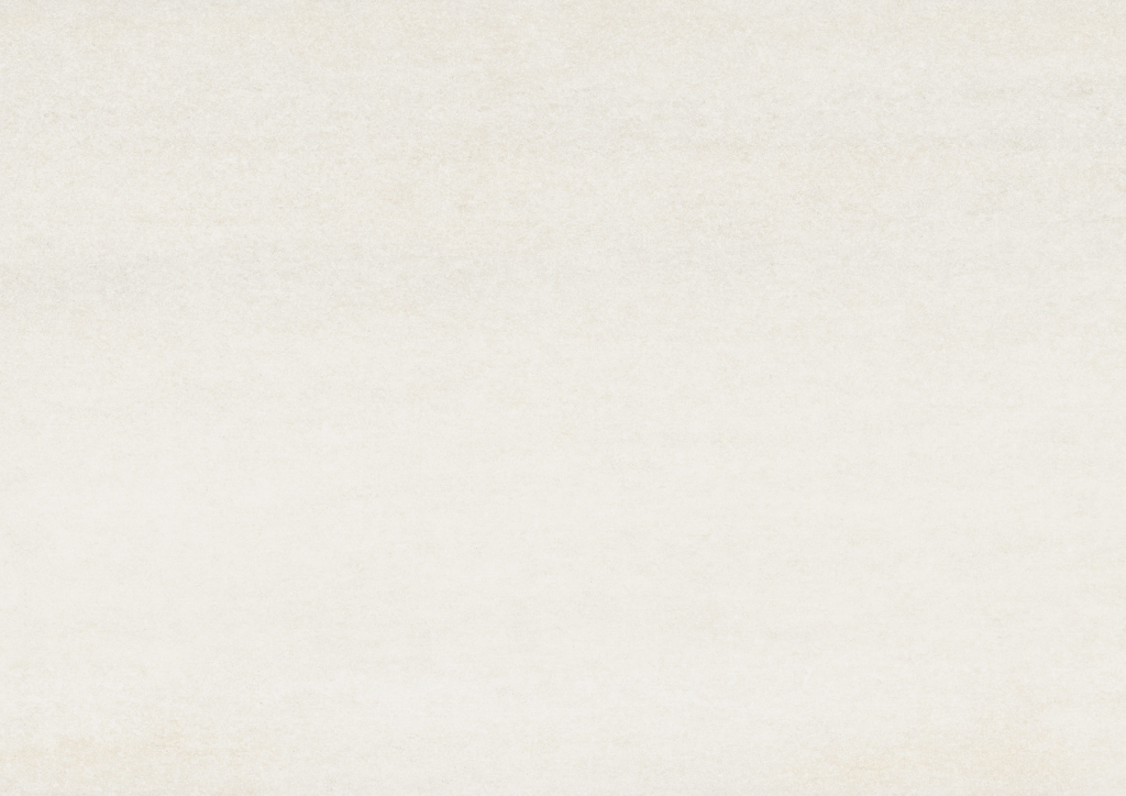 Monument 24x48 White Matte Porcelain Tile