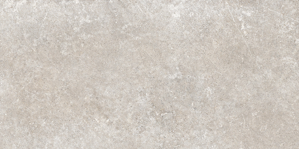 Palmetto 24x48 Greige Matte Porcelain Tile