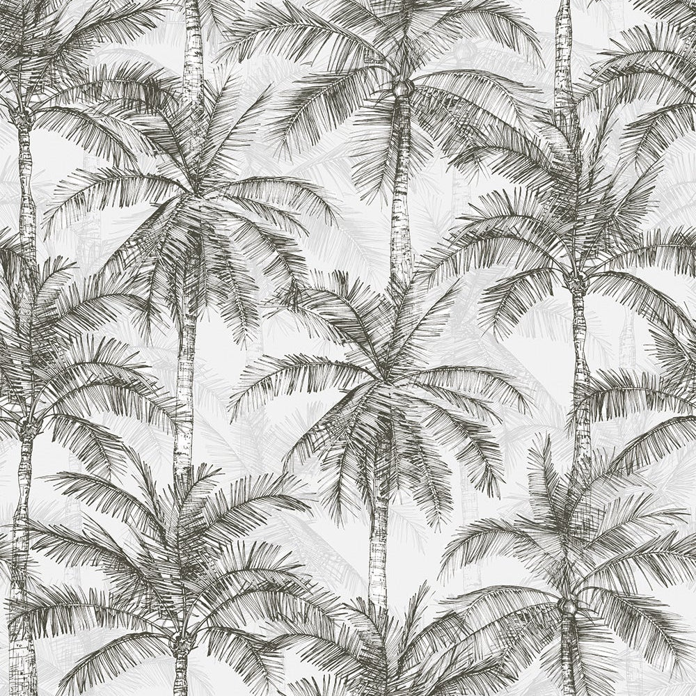 West Palm 24x48 Bianco Pattern Matte Porcelain Tile